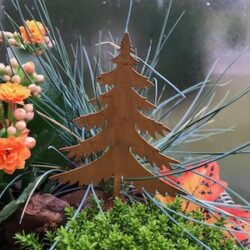 Kerstboom roest - plantensteker