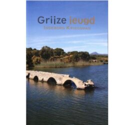 grijze jeugd - roman