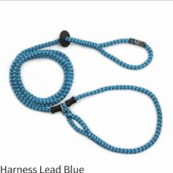 Harness Lead Blue