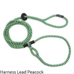 Harness Lead Peacock