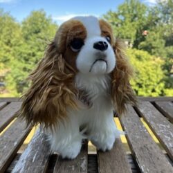 King Charles Spaniel - pluche knuffeldier - 25 cm