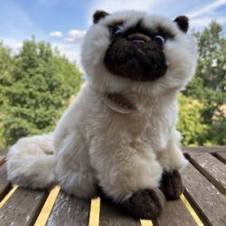 Britse kat - pluche knuffeldier - 30 cm