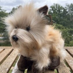Cairn terrier, pluche knuffeldier - 30 cm